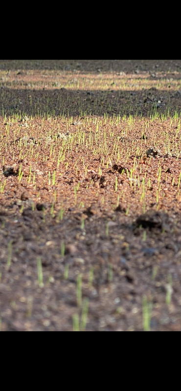 75E4D707-BBB5-4B53-A310-2E9F77C0C89F