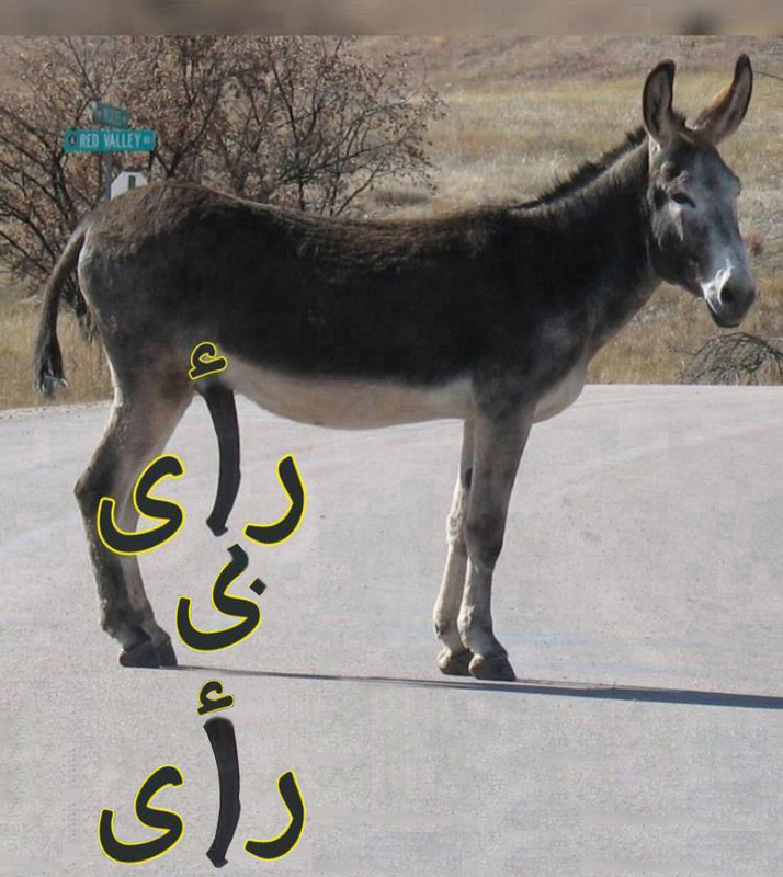رأی بی رأی