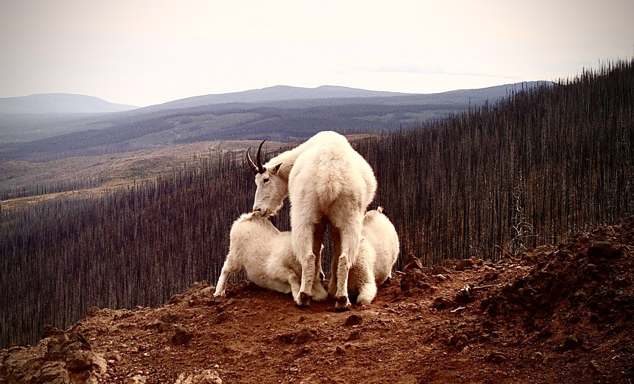 E877676B-150C-418F-A923-40FE7D73394D