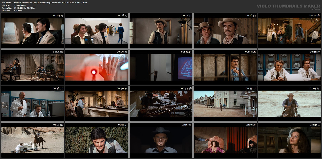 Vietsub-Westworld-1973-1080p-Bluray-Remux-AVC-DTS-HD-MA-5-1-4-K4-U-mkv.jpg