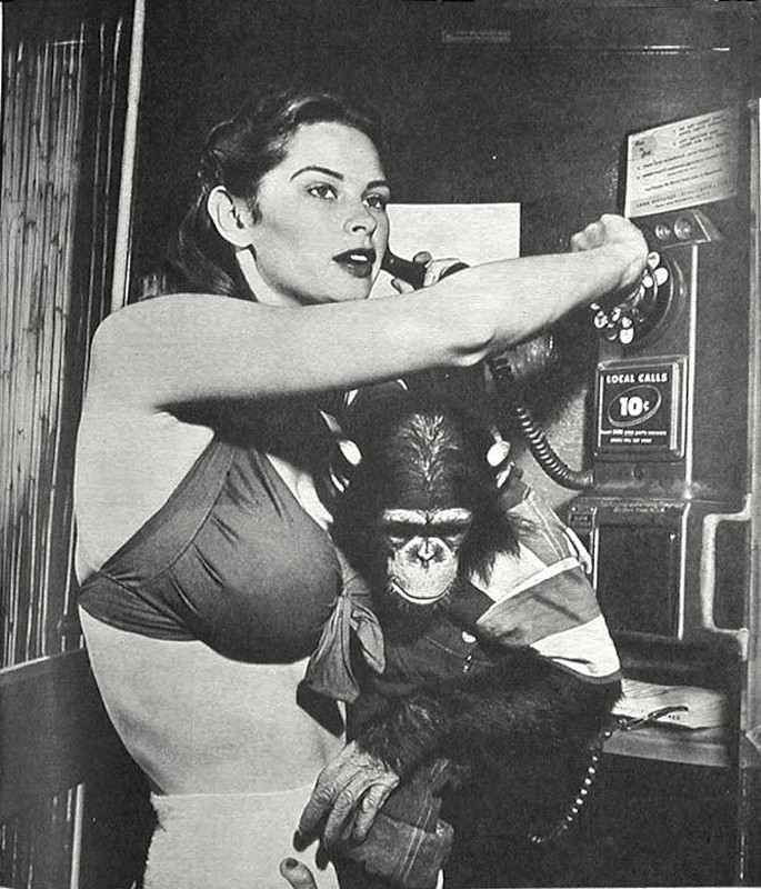 irish-mccalla-swimsuit-chimp-pinup