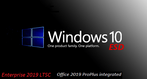 Windows 10 Enterprise LTSC 2019 ESD 10.0.17763.1728 (x64) Incl Office 2019 ProPlus integrated en-...