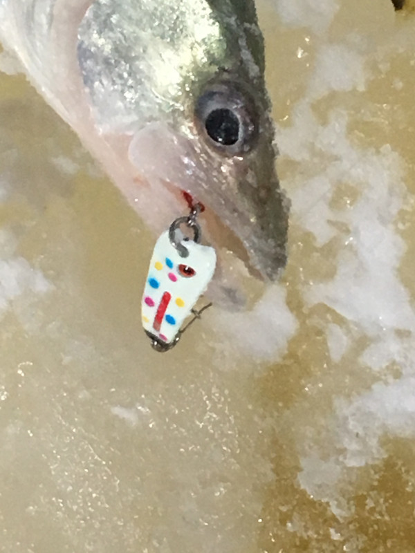 304F3F2C-CE5C-4A80-90D9-59E71F1F86AC