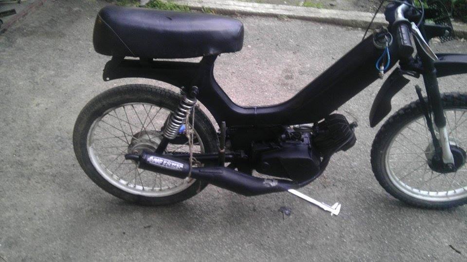 11267332_10206486679706300_93371333_n