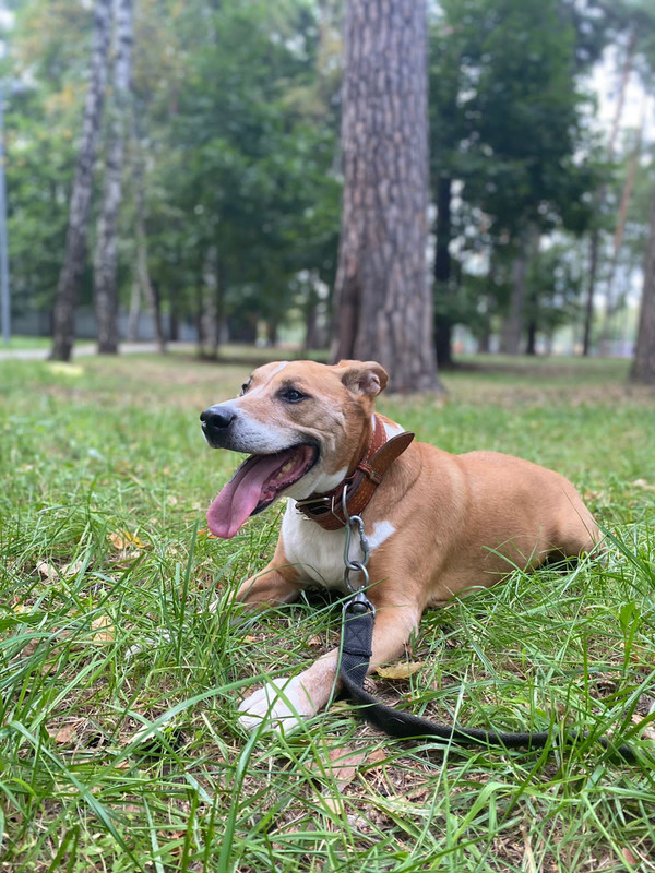 536392EA-3612-4CD7-9038-B66F85801E31