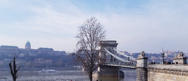 BUDAPEST EN UN FIN DE SEMANA - Blogs de Hungria - Puente de las Cadenas, Noria, estatuas, Parlamento, Catedral etc (30)