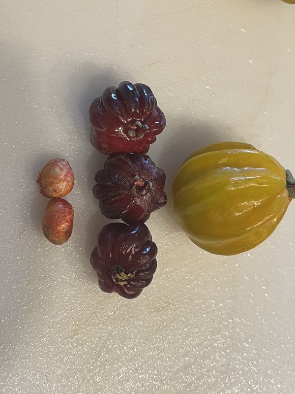 92BA1407-AF90-4460-8030-A06760AE5FDB