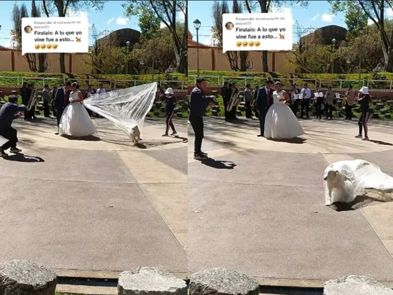 Perrito se roba el velo de una novia y sale huyendo