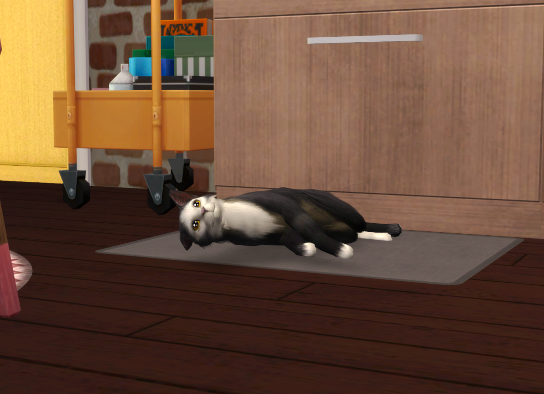 Sims2-EP9-RPC-2024-02-25-22-31-15-92