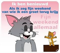 Fijn-weekend
