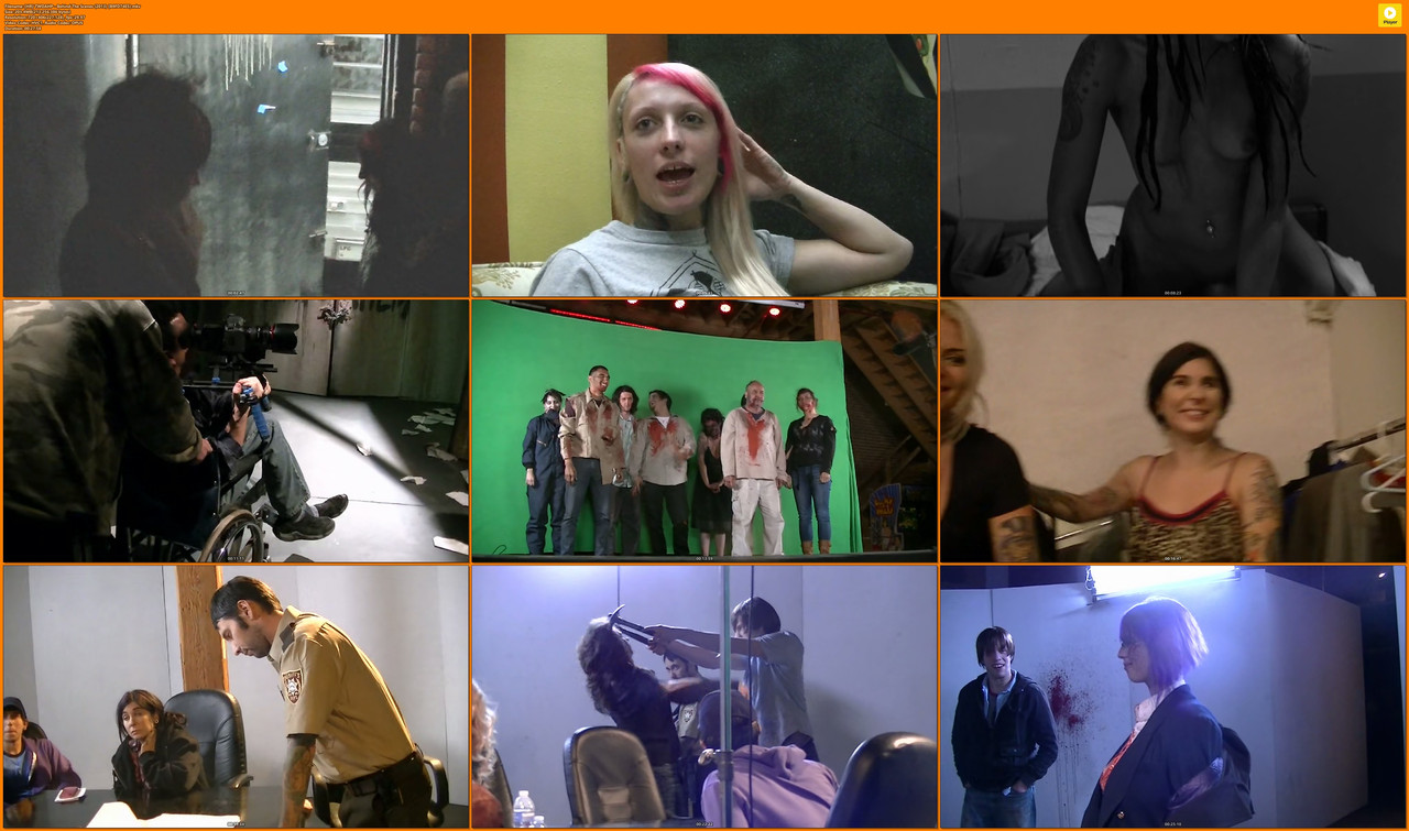 [HR] TWDAHP - Behind The Scenes (2013) [B9FD74E5].mkv