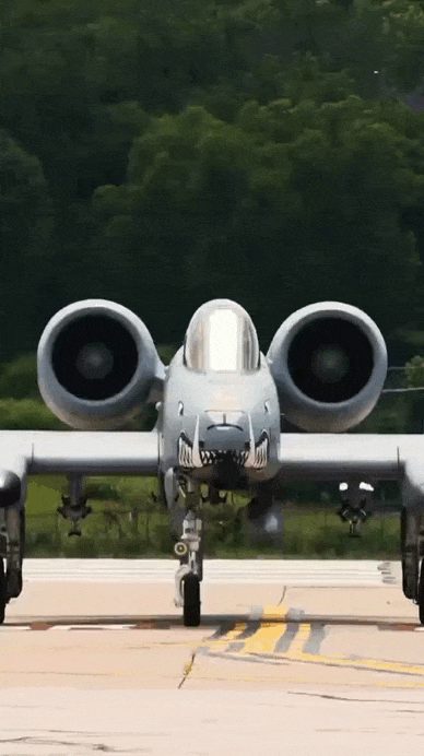 https://i.postimg.cc/0QpyShc4/video-2026-07-09-04-23-53-(1).gif