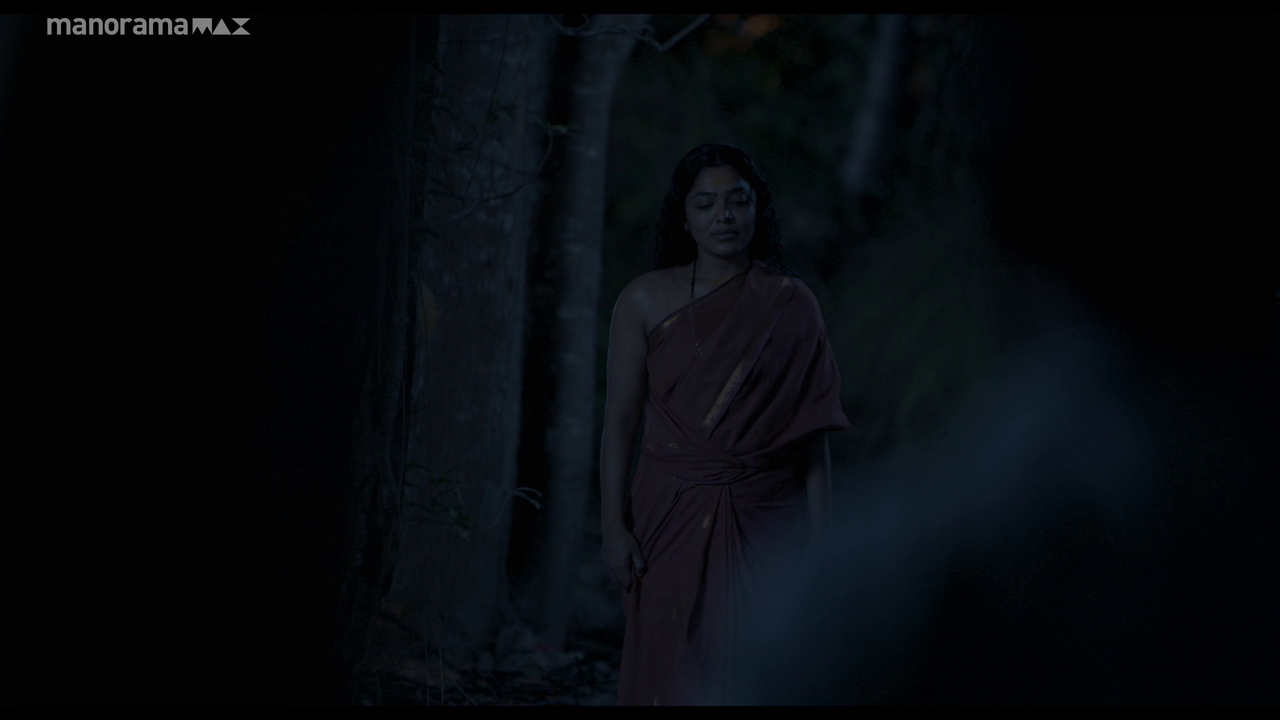 vlcsnap 2026 02 25 12h52m07s649