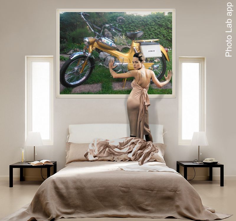 38e6e293-7142-4fc4-8792-d8efc1c2759a