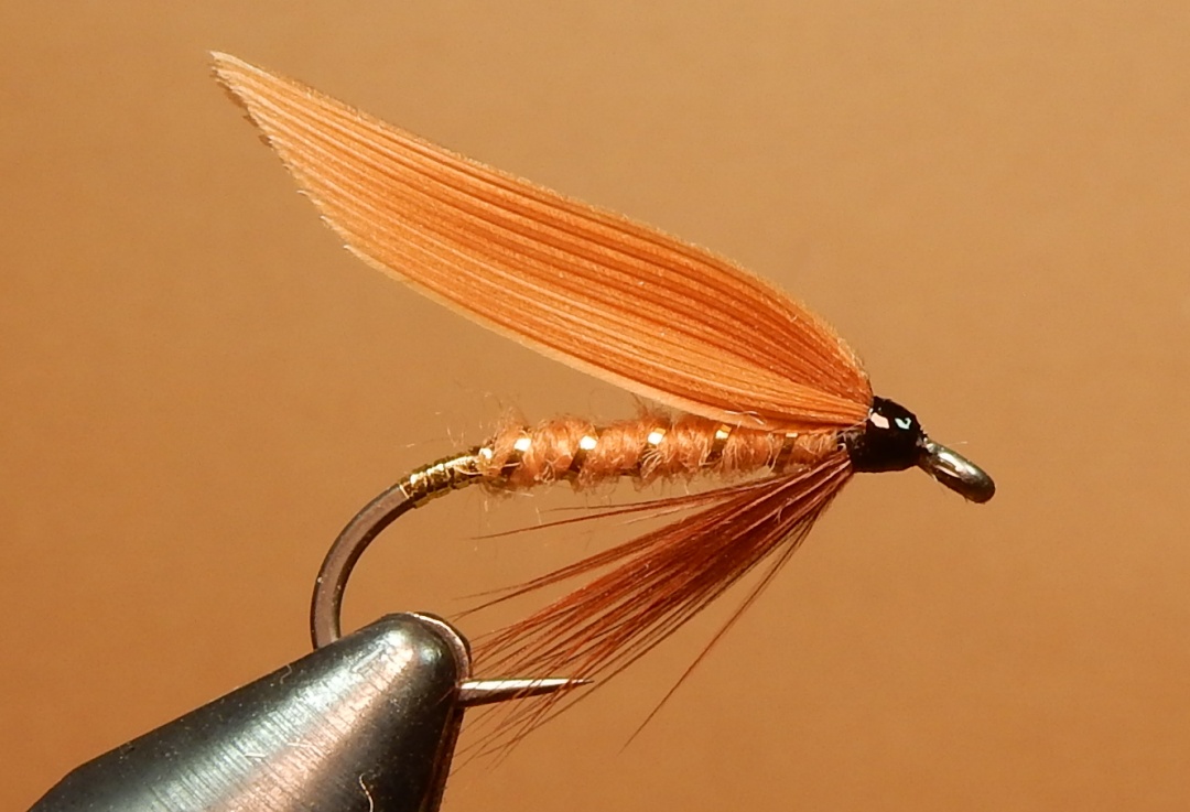 Moth Brown Fly Tying Maine Fly Fish