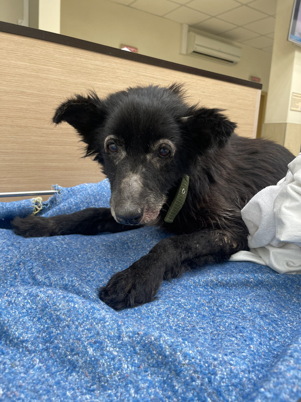 45D054BE-B1A8-4781-B245-B2BB71C68BEB