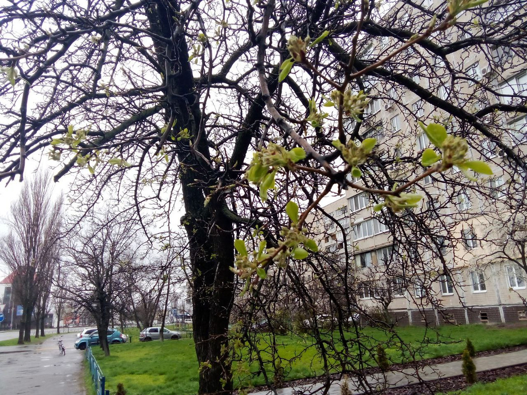 photo_2025-04-01 8.17.54 пп