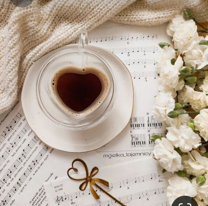 Screenshot_20230316_232644_Pinterest