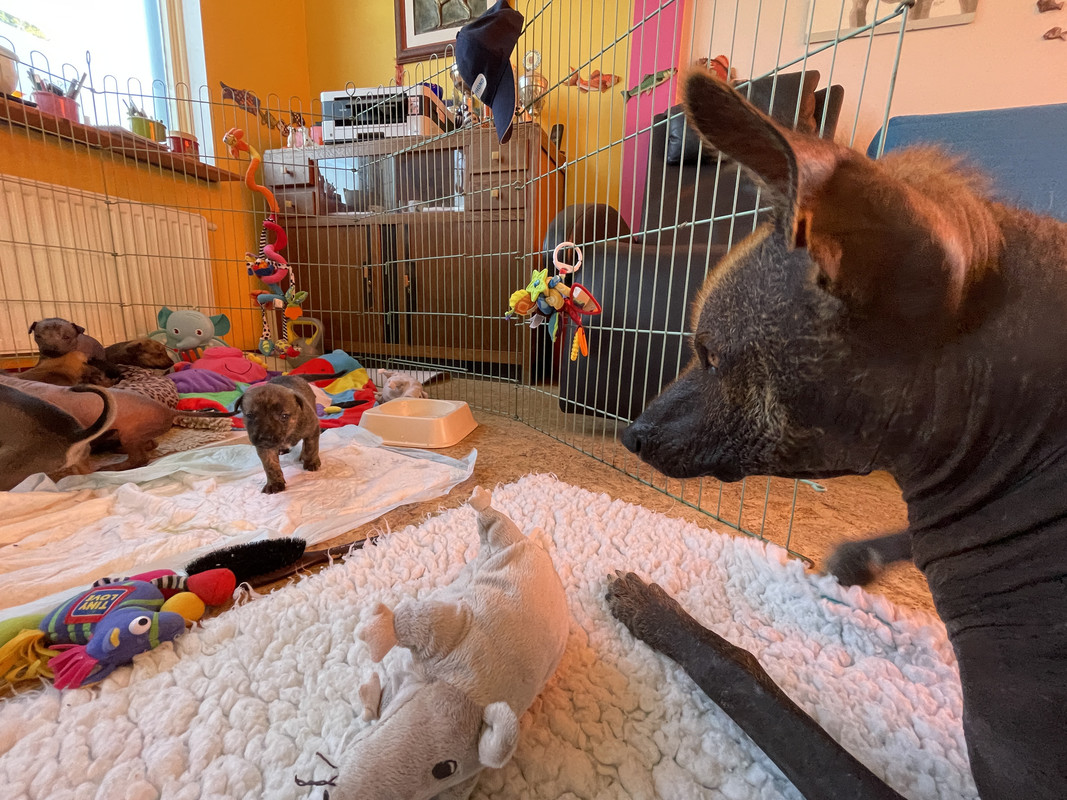 C30C03C9-7447-488B-B0B9-25F17D3A9EBF