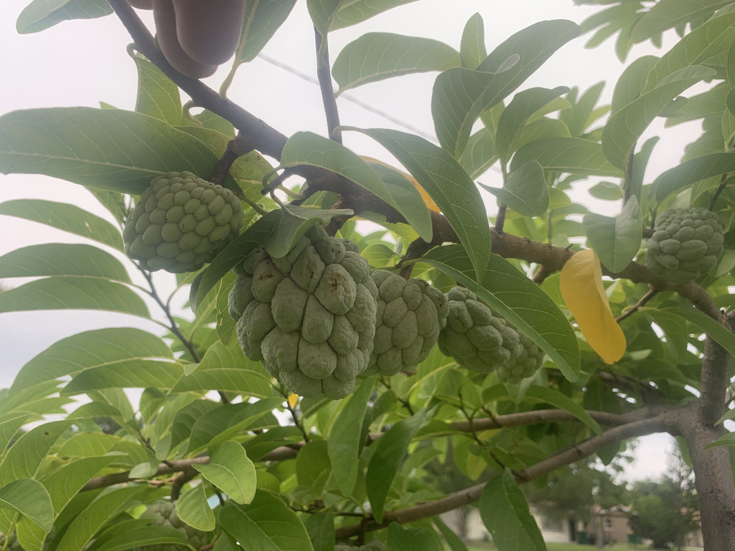 5DB5B9B8-EFA9-4465-8FBC-C748F00C3DFC