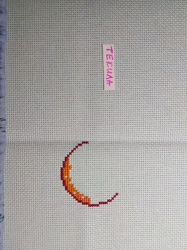 IMG 20260223 131201 586