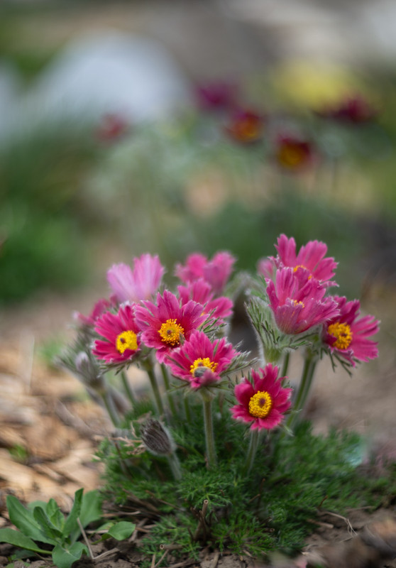 IMG-fb8ccee99ad463db2a37ea9b9b3b628c-V