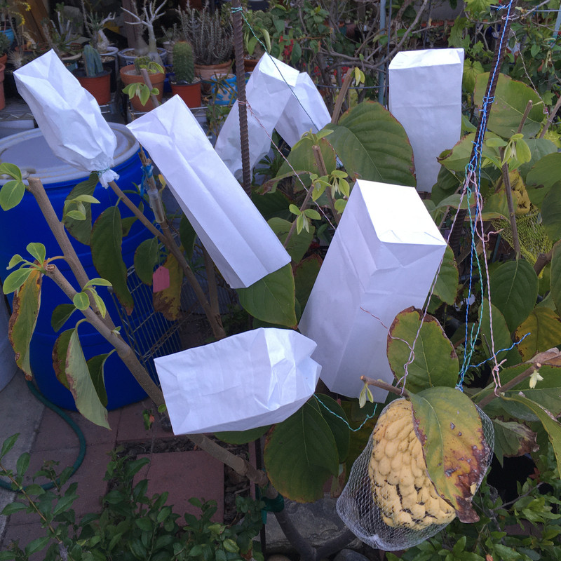 2FDB44D3-1F52-4932-81FD-BC304D4AC227