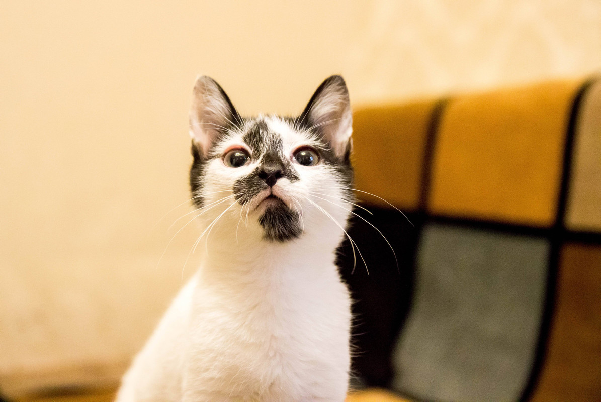 подросток-1-23