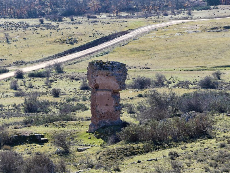 YACIMIENTO ARQUEOLOGICO DE TIERMES-16-2-2020 - Soria y sus pueblos-2010/2013/2020 (28)