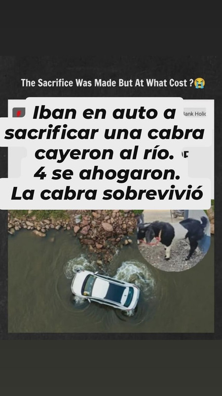 Gg.jpg