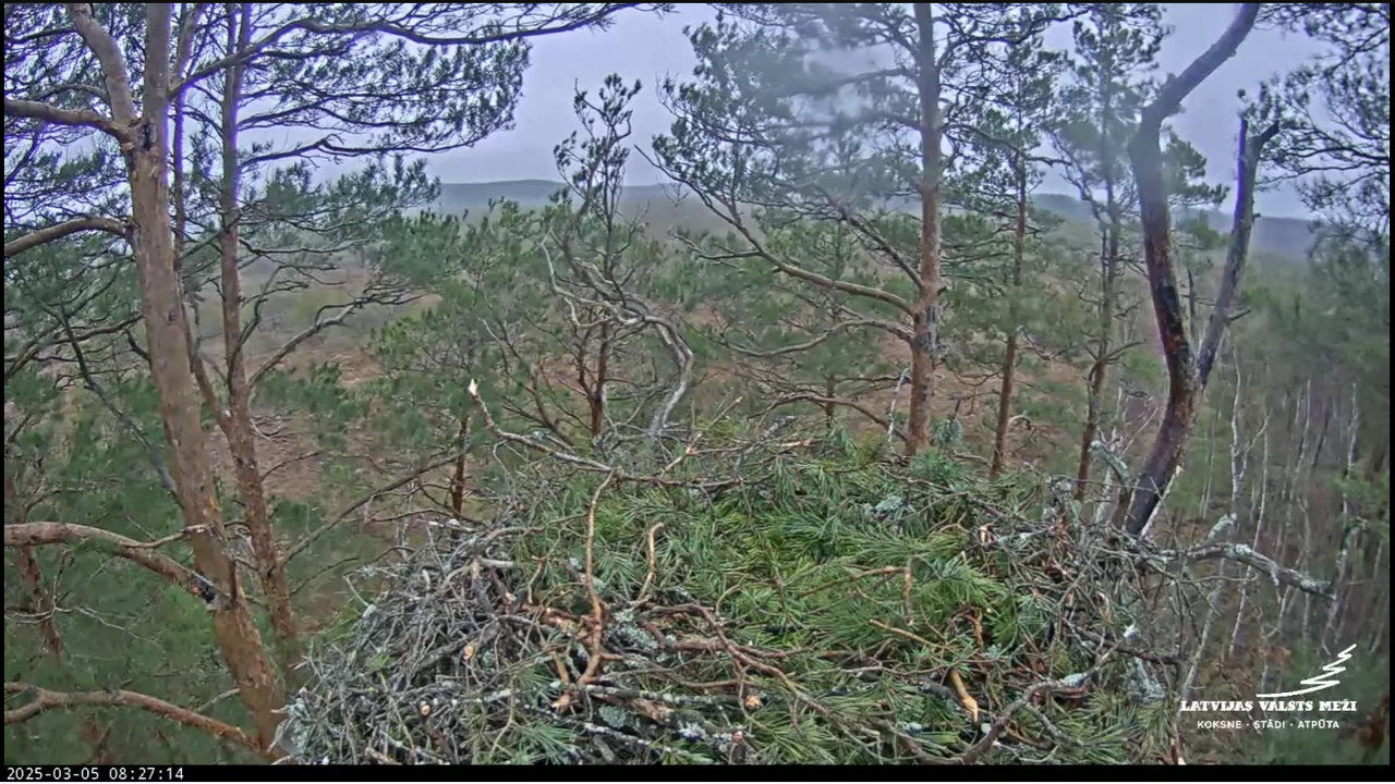 Ekrānuzņēmums 2025-03-05 082915