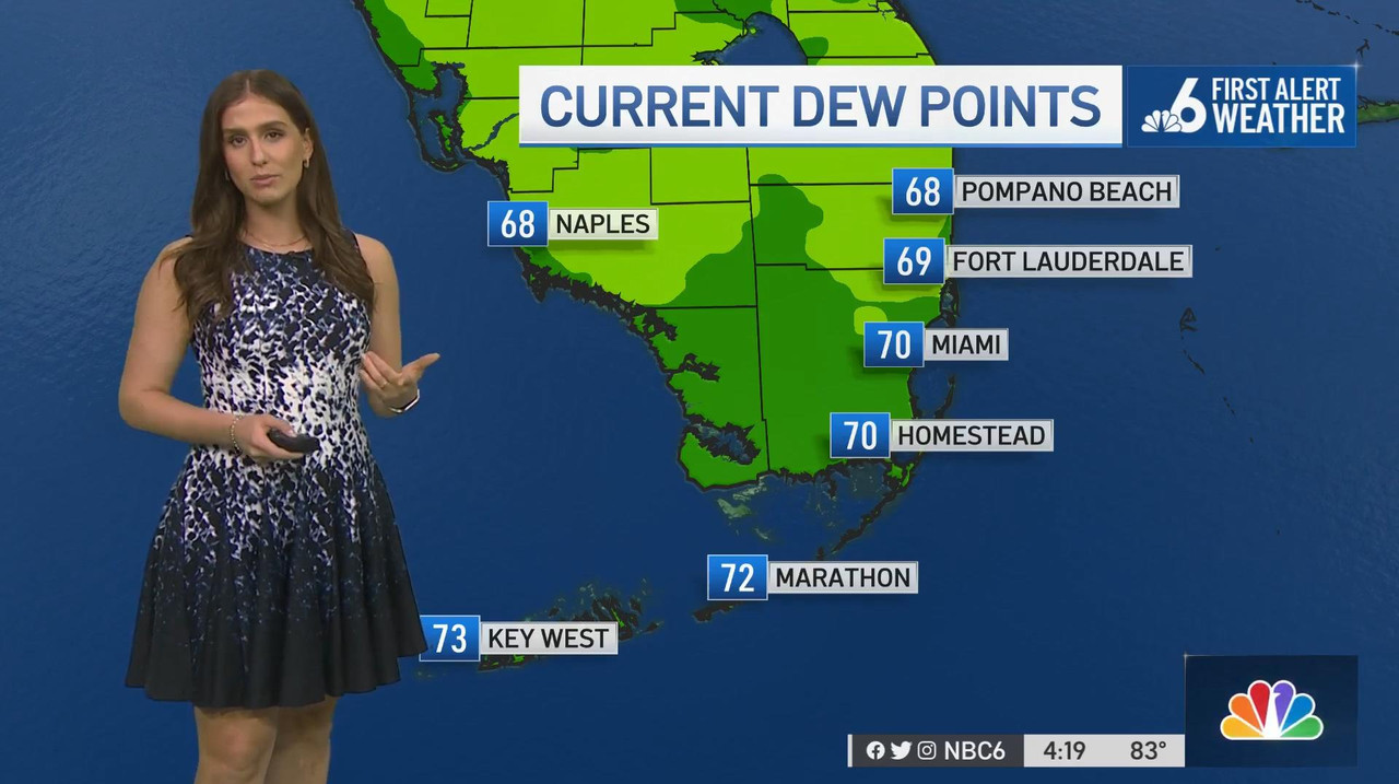 03.31 - 21.00.00 - Nbc 6 News At 4 00 P.M.-1.m4v_snapshot_14.41_[2022.04.01_12.54.32]