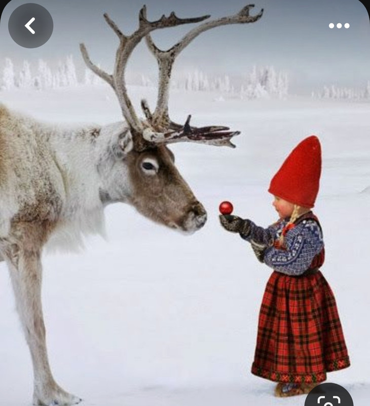 Screenshot_20240124_234652_Pinterest