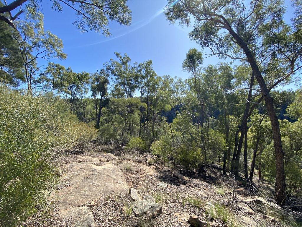 2022 (Jun) - Central (Nth) Qld Solo Trip(web) (101)