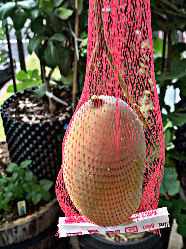 2CDD1DCF-1DA9-4522-BE5C-E1BFED21B844