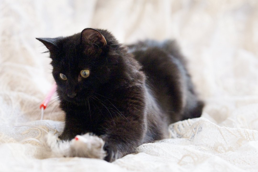 Фунтик_19_10_1