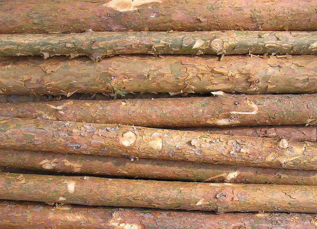 wood-texture-3dsmax (136)