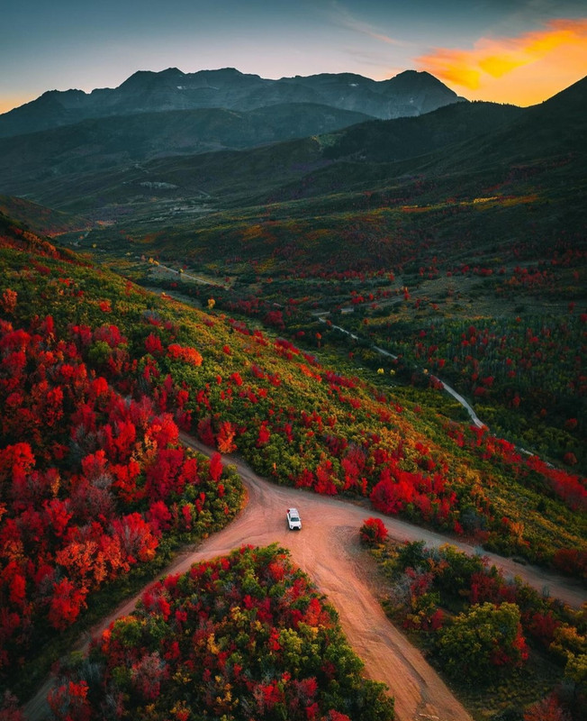 Screenshot_20231207_160012_Instagram