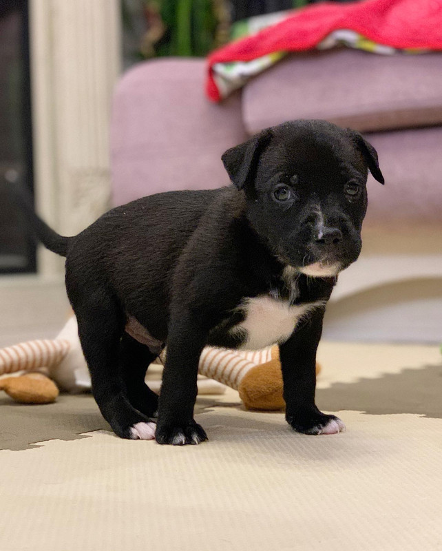 5437015F-E4A7-4E3B-9E01-01044F47A8A1