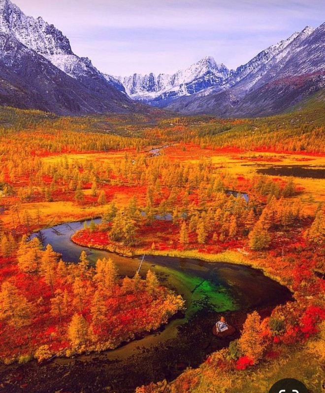 Screenshot_20240218_205855_Pinterest