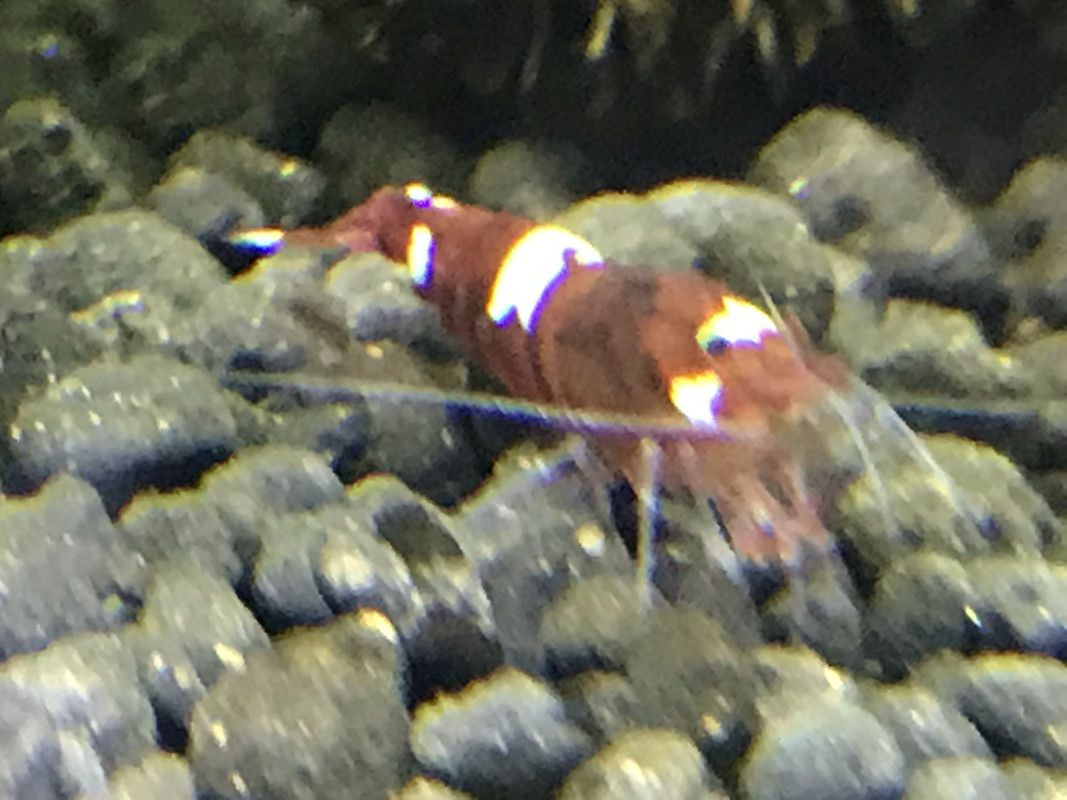 65312E8A-6B59-44EE-8286-E18D769AD428