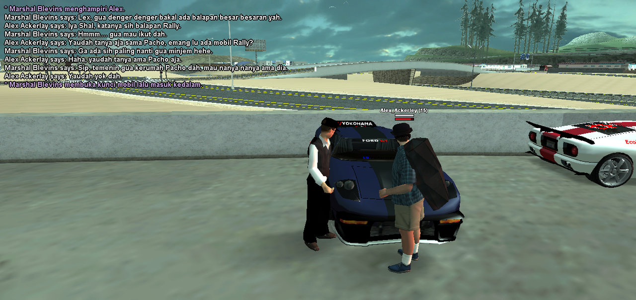Rally.png
