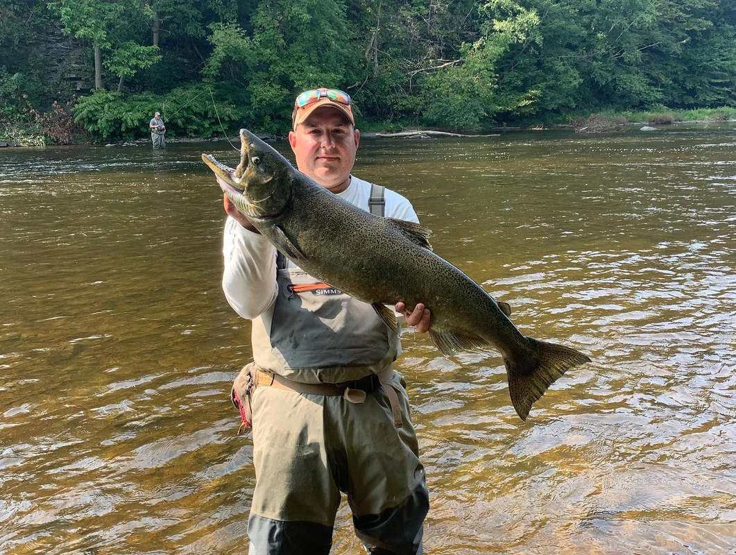 991270F8-8D43-4212-9C0F-CC68DB211256