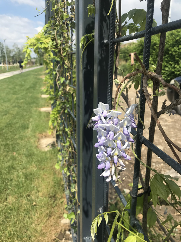 8E1B9379-C757-4A12-97A8-A69EFB070AFE