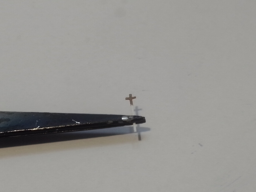 447056462_10232240655540111_7756557280656508839_n