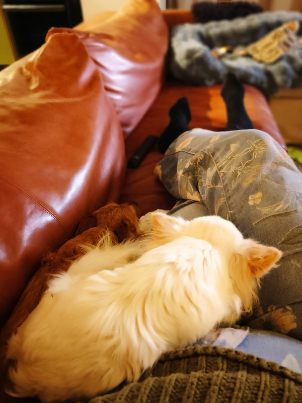 Lumii 20251229 183320439