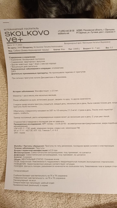 анализ1
