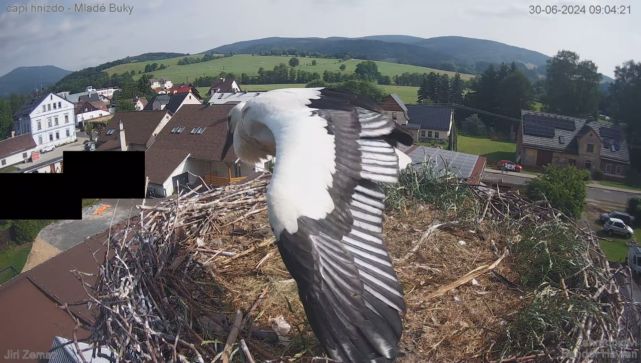 Tiešraides kamera — Mladé Buky — stārķa ligzda 9-34-25 screenshot