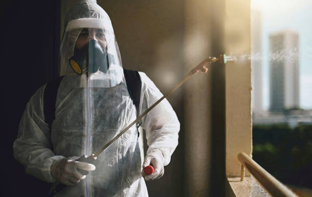 Kissimmee Termite Treatment