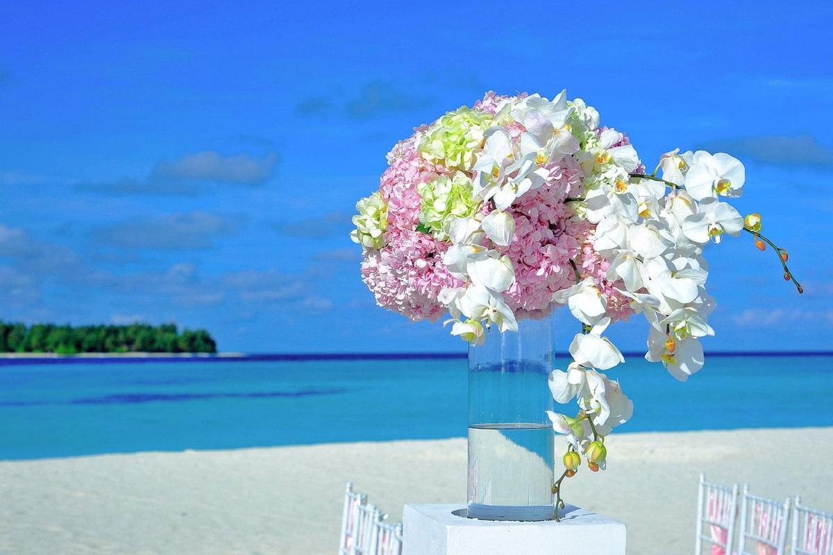 flowersonthebeach.jpg